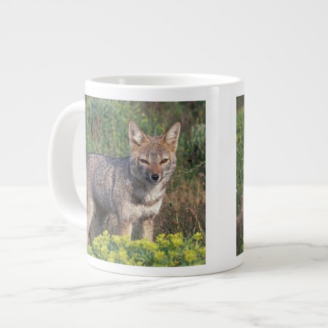 Taza De Café Gigante Sudamérica, Chile, Torres del Paine NP, (Izquierda)