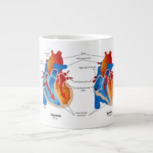 Taza-Corazón de la anatomía