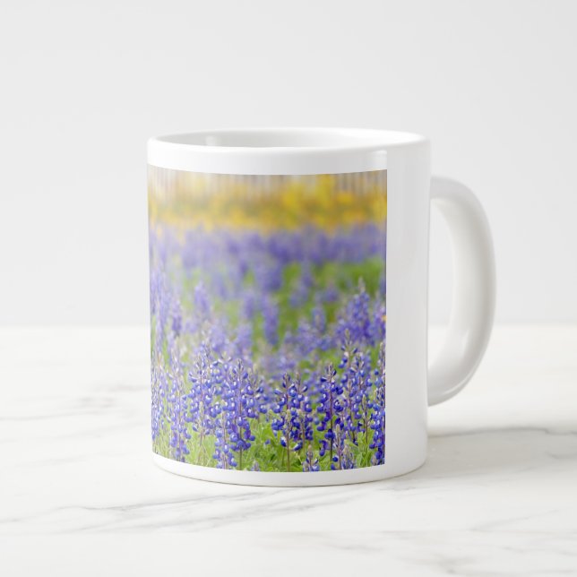 Taza De Café Gigante Texas Bluebonnets (Derecha)