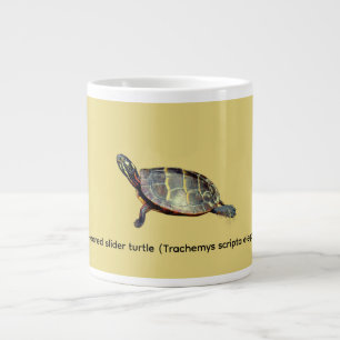Taza De Café Gigante Tortuga de oreja roja