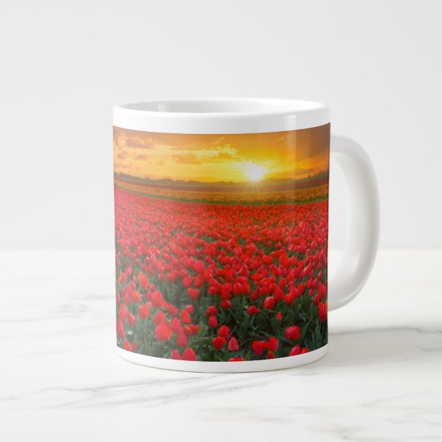 Taza De Café Gigante Tulip Fields al atardecer en los Países Bajos (Derecha)