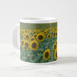 Taza De Café Gigante UE, Francia, Provenza, Campo de girasol