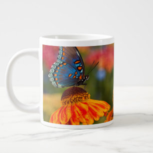 Taza De Café Gigante Una Papilio troilus, Papilio troilus