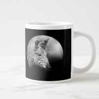 Zebra Foal