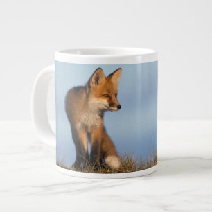 Taza De Café Gigante zorro rojo, Vulpes vulpes