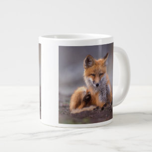 Taza De Café Gigante zorro rojo, vulpes vulpes, cachorro raspado