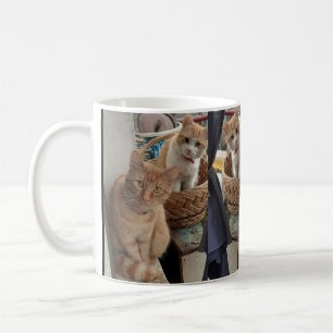 Taza De Café ginger cat Mug