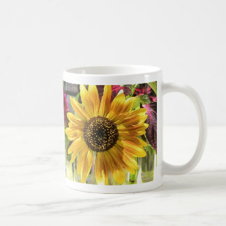 Taza De Café Girasol
