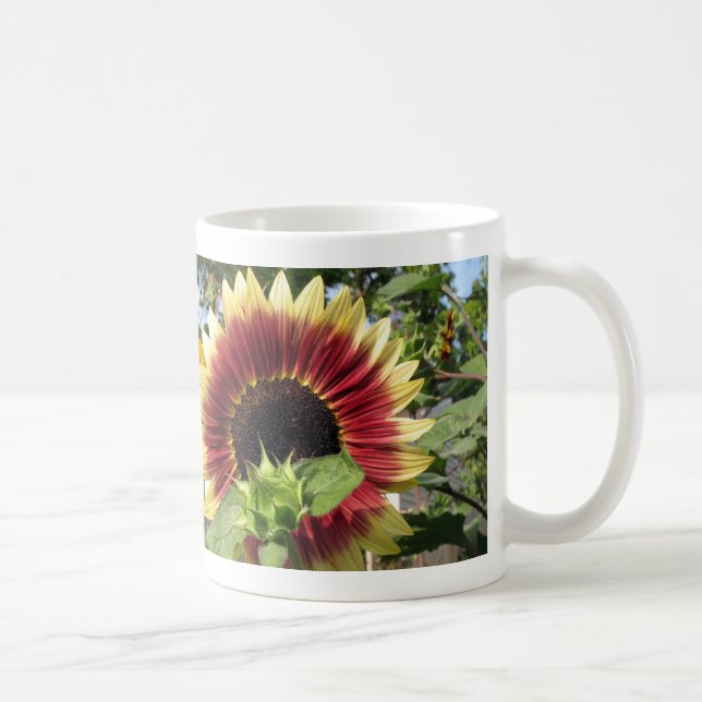 Taza De Café Girasol del Razzmatazz (Derecha)