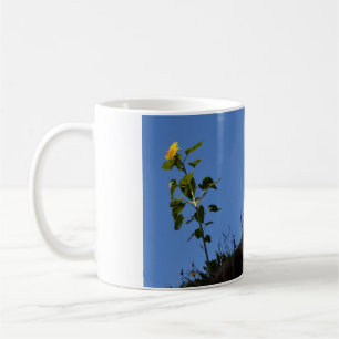 Taza De Café Girasol en el techo.