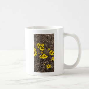 Taza De Café Girasol en la Montaña Rocosa