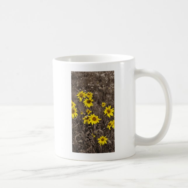 Taza De Café Girasol en la Montaña Rocosa (Derecha)