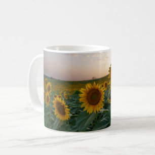 Taza De Café Girasoles al atardecer