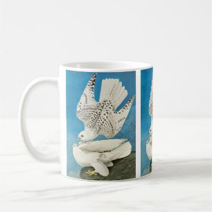 Taza De Café Girfálcons, también conocidos como Gerfalcons por