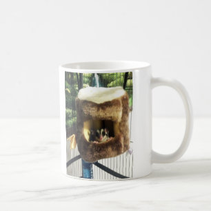 Taza De Café Glider azucarero en camión de árbol furtivo colgan