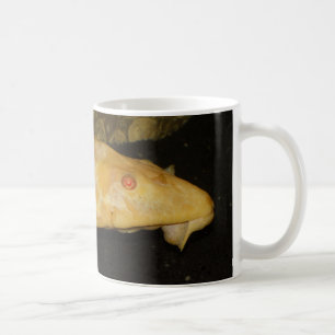 Taza De Café Glyptoperichthys gibbiceps