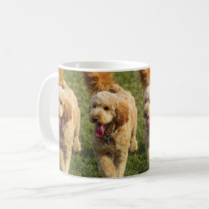 Taza De Café Goldendoodle
