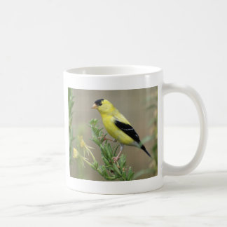 Taza De Café Goldfinch