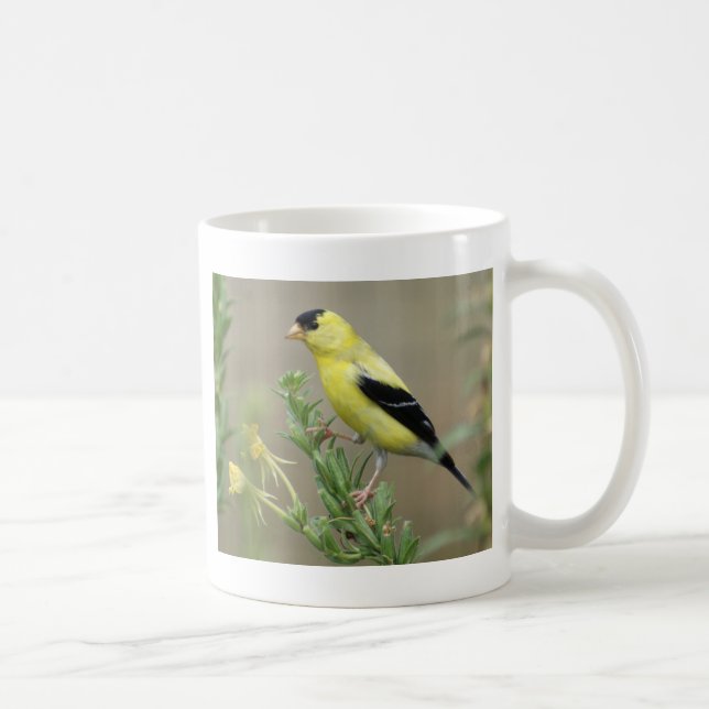 Taza De Café Goldfinch (Derecha)