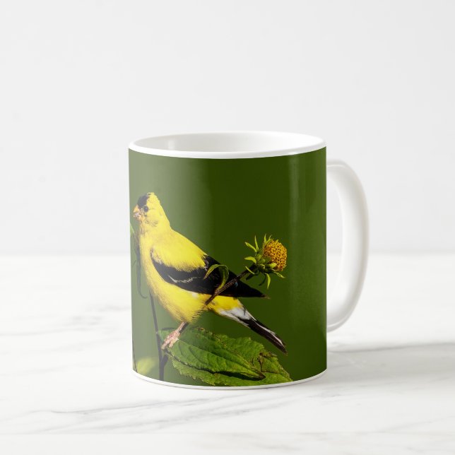 Taza De Café Goldfinch americano (Anverso derecho)