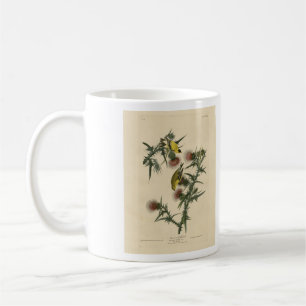 Taza De Café Goldfinch estadounidense de los pájaros de Estados