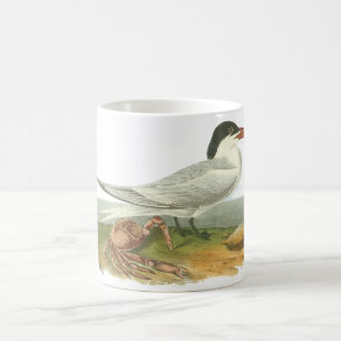 Taza De Café Golondrina de mar real, Juan Audubon