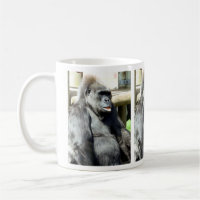 GORILLAS