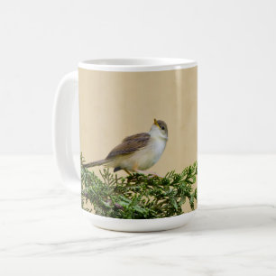 Taza De Café Gorrión