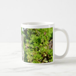 Taza De Café Gorrión descarado