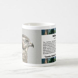 Taza De Café Goshawk inmaduro