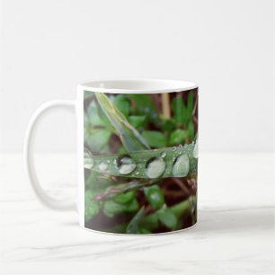 Taza De Café Gotas de lluvia en la hierba