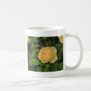 Taza De Café Gotas de lluvia en rosa amarillo