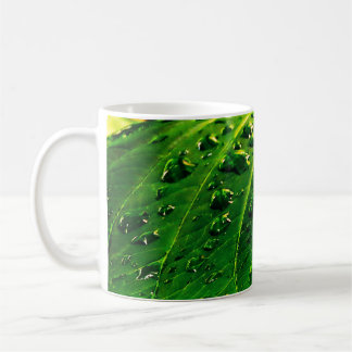 Taza De Café Gotitas de lluvia en una hoja