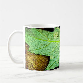 Taza De Café Gotitas de lluvia en una hoja