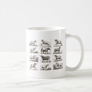 Taza De Café Grabado Antiguo de Unicornio Especimen de Zoología