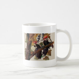 Taza De Café Grabado de ave Carpintero Pileado de John James Au