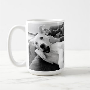Taza De Café Graciosa foto de Happy Dog B & W Photography