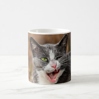 Taza De Café Gracioso, bostezoso, cansado, tazón de café de gat