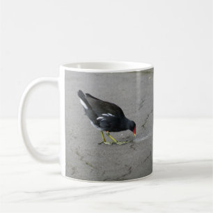 Taza De Café Gracioso Moorhen toma Bow Mug