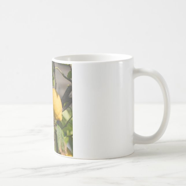 Taza De Café Gráficos de Limón Español (Derecha)