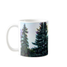 Gran Bosque Boreal del Norte Bosque Canadá Pinos Á