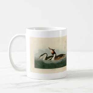 Taza De Café Gran codicia quieta - Los pájaros de América de Au