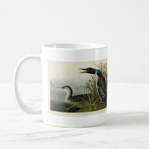 Taza De Café Gran Diver del Norte Loon Aves Audubon de América