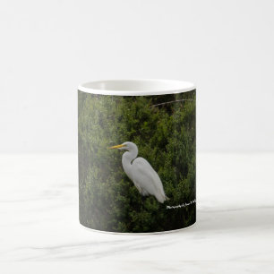 Taza De Café Gran Egret
