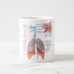 Taza De Café Grande Anatomía Taza-Respiratoria