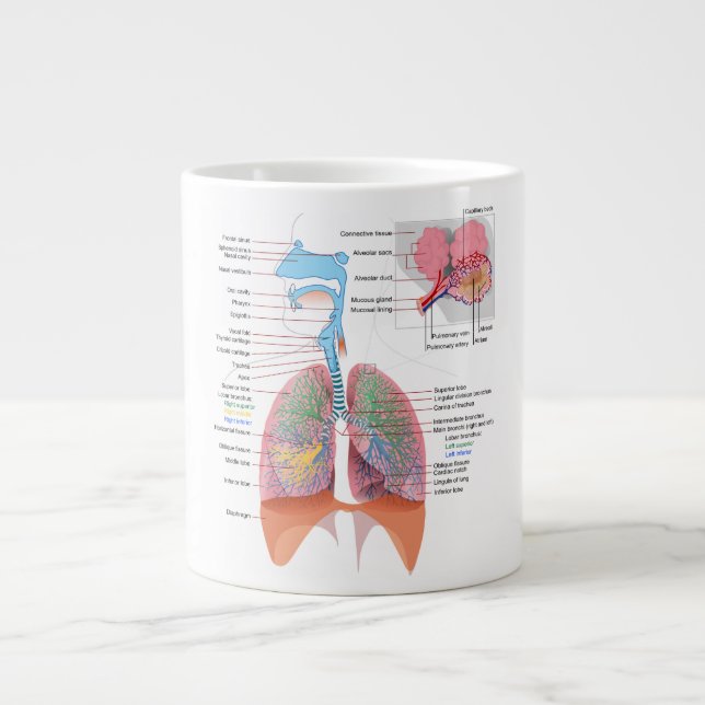 Taza De Café Grande Anatomía Taza-Respiratoria (Frente)