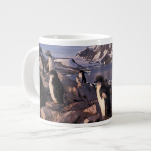 Taza De Café Grande Antártida, crías de pingüino Adelie