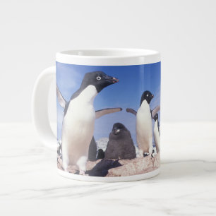 Taza De Café Grande Antártida, Pingüino de Adelia Pygoscelis