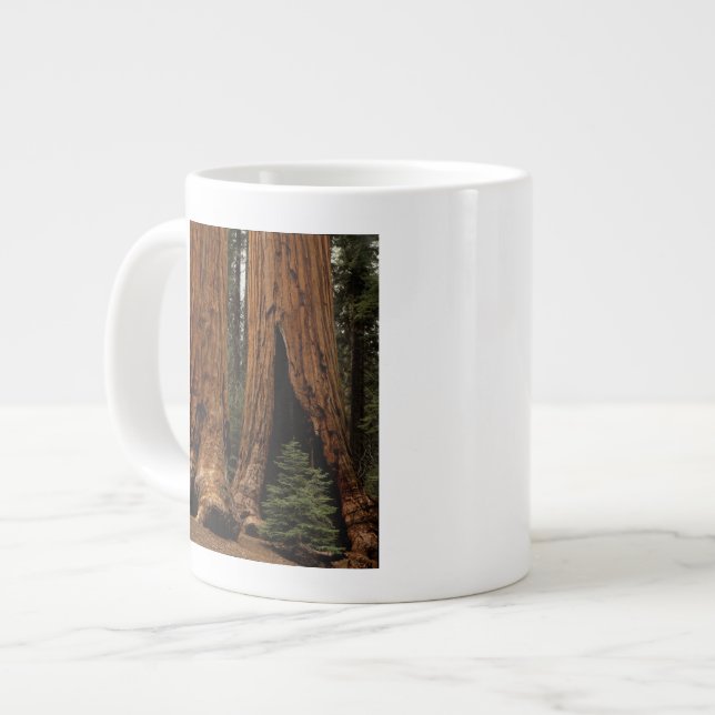Taza De Café Grande Árboles de secuoya, Parque Nacional Sequoia. (Izquierda)