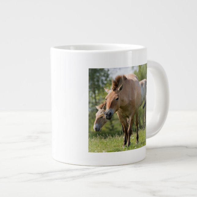 Taza De Café Grande Caballo de Przewalski y potro caminando (Derecha)